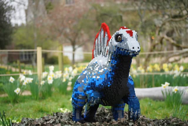 It has taken professional builders from Bricklive International over 9,000 hours to create all the dinosaurs. Picture: Marwell Zoo.