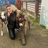 Rosie Tungatt with some of her greyhounds.