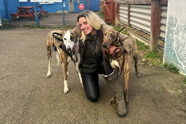 Rosie Tungatt with some of her greyhounds.
