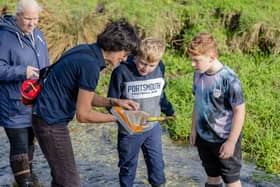 Pond dipping in Fishbourne Meadows