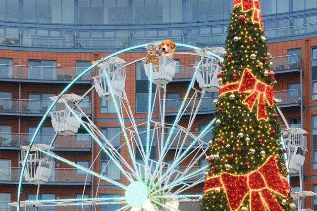Gunwharf's Christmas Village has dubbed as one of the most picture perfect in the country and is the perfect spot for festive shopping. But with great markets and events across the whole city - and well as a choice of brilliant pantomimes there really is no better place to be at Christmas.