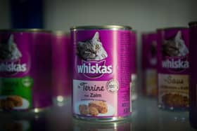 Mars is removing its pet food brands from Tesco. Picture: GUILLAUME SOUVANT/AFP via Getty Images.