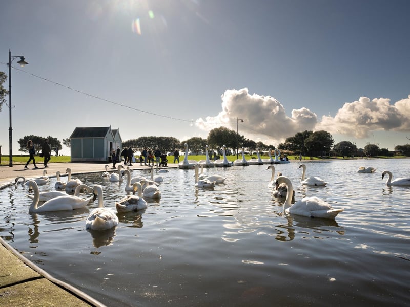 Next up was Canoe Lake in Southsea but despite its name, there were no canoes here as far as I could see. I opted instead for a swan-shaped pedalo. This was a great way to enjoy the scenery of the area and get up close to the dozens of real swans which frequent the lake. It was also an ideal ‘leg day’ workout. For £9 you can spend 20 minutes on the lake and enjoy a £1.50 discount at the adjacent cafe.Picture: Keith Woodland