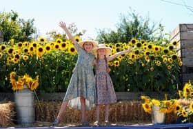 Sisters (l-r) Maisie (9) and Flo Humphries (7) who visited the farm last year
Picture: Sarah Standing (110822-8431)