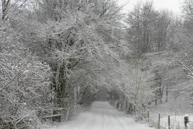 Snowy picture taken between Havant and Petersfield by Mike Knee in 2013. Picture: Mike Knee