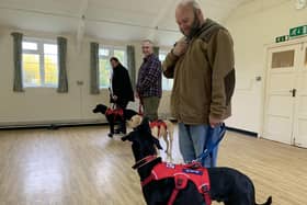 Service dogs training session.