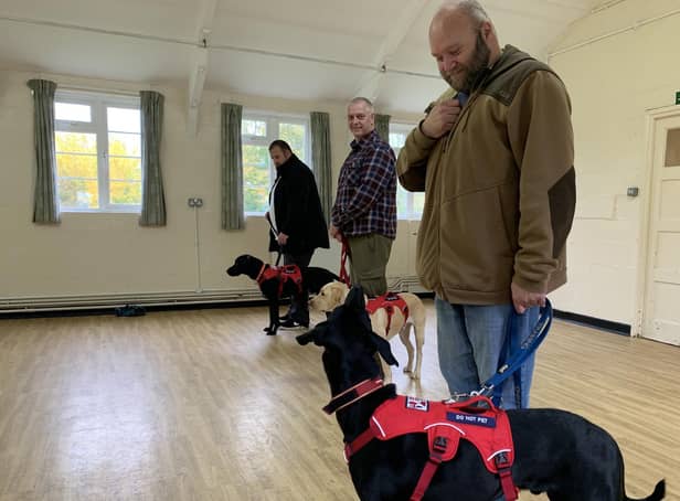 Service dogs training session.