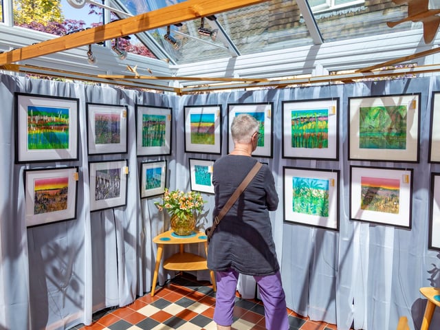 Work by Carol Price on display at her home studio. Picture: Mike Cooter (250426)