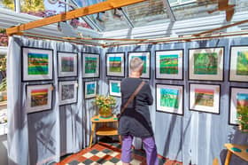 Work by Carol Price on display at her home studio. Picture: Mike Cooter (250426)