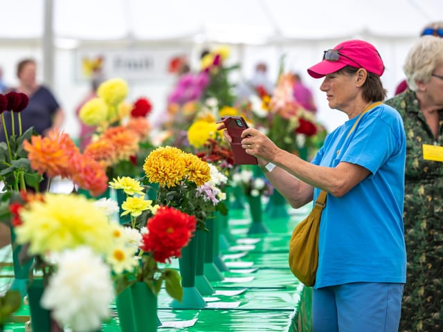 The horticultural show