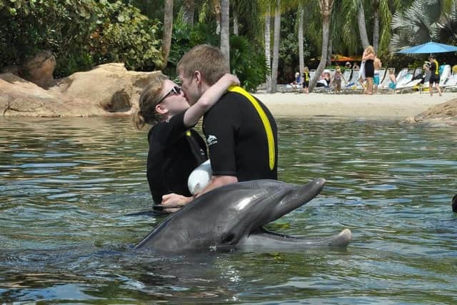 The couple got engaged at Discovery Cove, Florida. Picture submitted by Chelsie Whibley.