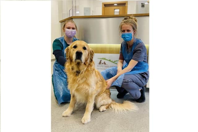 Nurse Georgie, Monty and vet Chloe