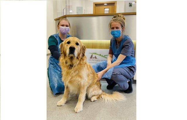 Nurse Georgie, Monty and vet Chloe