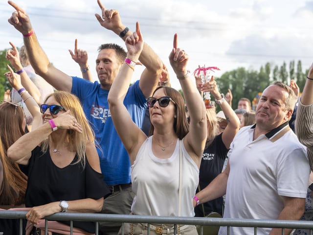 Festival goers enjoying the music at Swanfest 2024