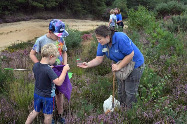 The Heathlands Extravaganza returns to Hampshire this September.Picture: Anne-Katrin Purkiss