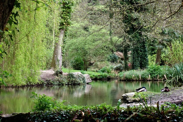 There are some fantastic walks across the area including this one at Holly Hill Woodland Park.Picture: Graham May