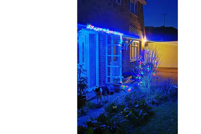 Angie Kennedy from Waterlooville has set up a Facebook group called #Hit The Switch to encourage people to light up their neighbourhoods. Pictured: Angie's lights decorating her house, with her dog Kelsey in shot