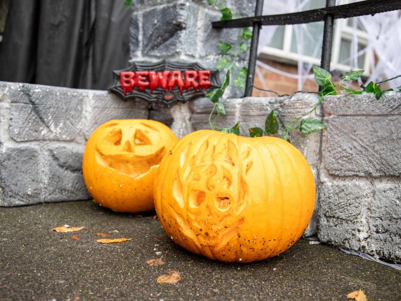 Becky Donnelley has dressed her house in giant homemade Halloween decorations in aid of raising money for The Rowans hospice

Pictured - Incredible handmade Halloween displays in Becky's front garden

Photos by Alex Shute