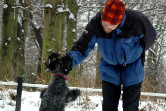 Sandall Beat Wood covered in snow. New Years Day 2009.