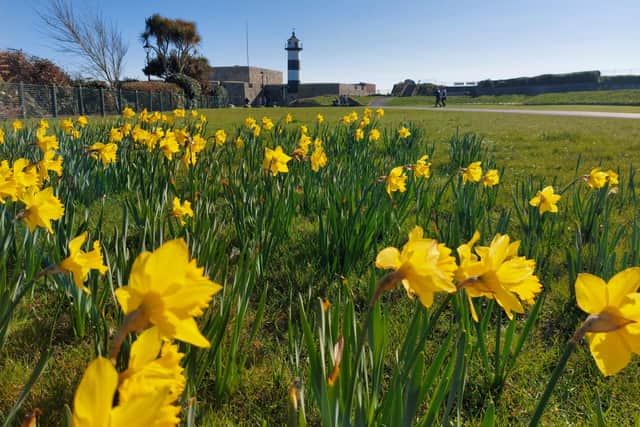 Spring in Southsea on March 19, 2022.