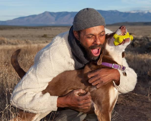 Men are keener to cosy up with their pet than women, research found (photo: Adobe)