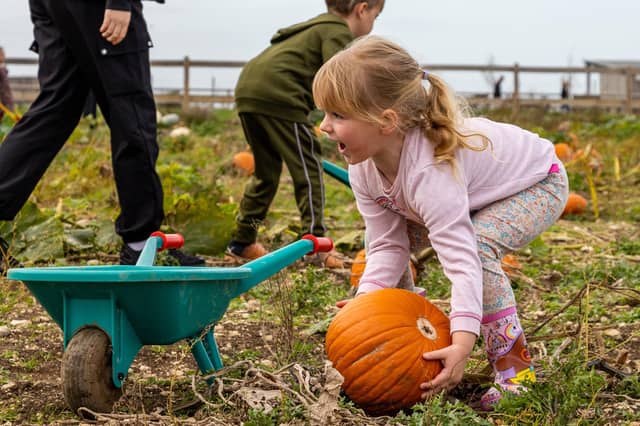 Here’s 10 reasons why this should be your October half term holiday destination. Submitted picture