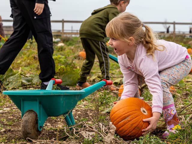 Here’s 10 reasons why this should be your October half term holiday destination. Submitted picture
