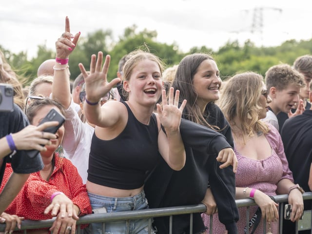 Festival goers enjoying the music at Swanfest 2024