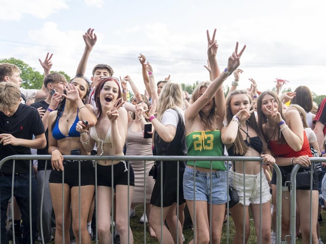 Festival goers enjoying the music at Swanfest 2024