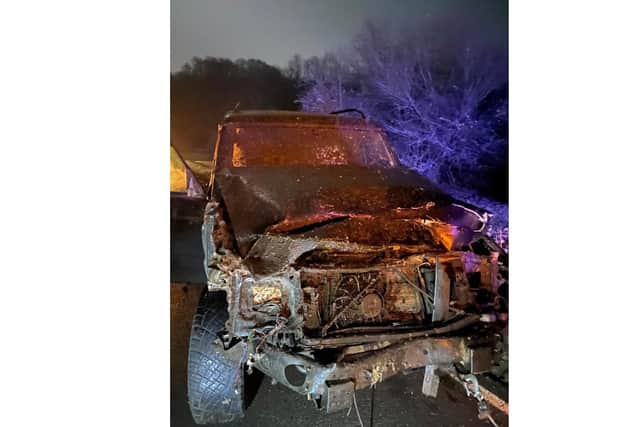 Four horses die after being hit by a vehicle in New Forest