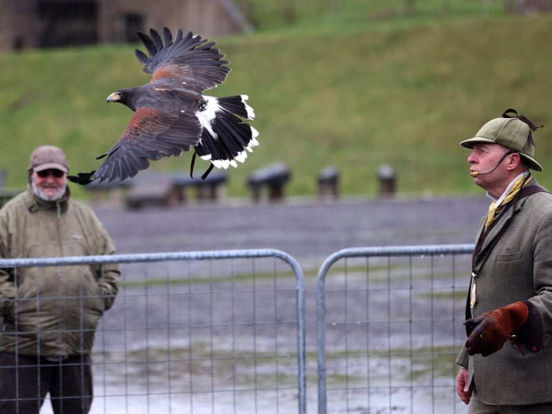 Pictured is action from the event.
Picture: Sam Stephenson.