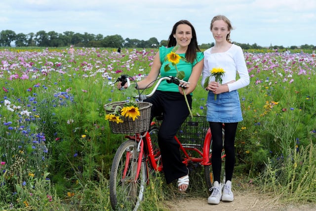 Sam's Sunflowers in Hayling Island, on Sunday, August 4, 2024.

Pictured is: Donna Hutchins with her daughter Evie (12) from Chichester.

Picture: Sarah Standing (040824-3949)