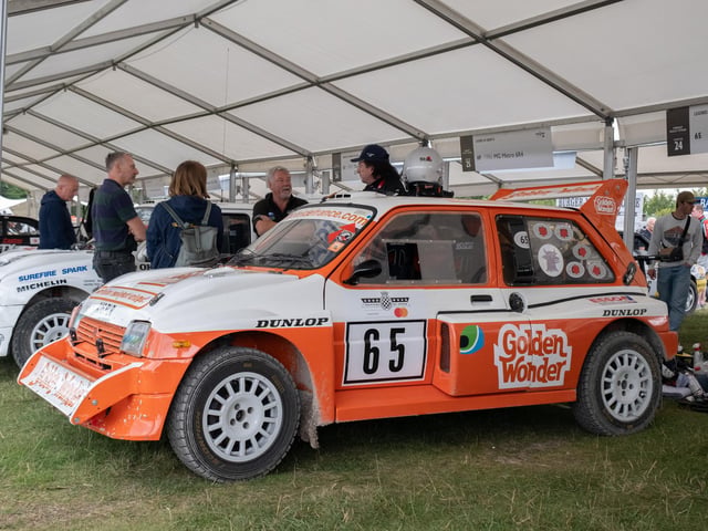 Petrolheads flocked to the motoring festival which saw countless amounts of supercars and other vehicles.