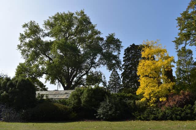 Victoria Park will be site for the Flotsam and Jetsam Trail, where families can solve the clues and perhaps win a VR headset on February 22, 2022