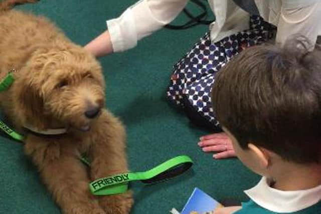 Therapy dog Ralph meets pupils at the Northern Federation of Schools
Credit: The Northern Federation of Schools