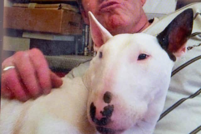 Paul Russell with his dog, Jess
Picture: Habibur Rahman