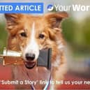 Send us your stories.