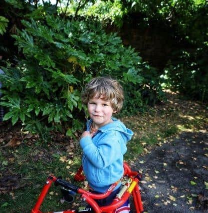 Rudy Bingham, 3, of Southsea. Picture: Abby Flanagan @pictureperfect_byabby.