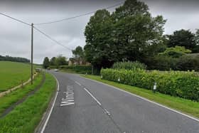 The crash happened on the A272 Winchester Road, near Petersfield. Picture: Google Street View.