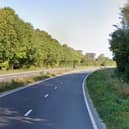 The crash took place on the A31 near Alton. Picture: Google Street View.