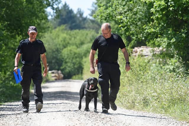 Fire investigation search dog and handlers assist police with their investigation at the scene of Havant Thicket where the body of Louise Smith was found. Picture: Simon Czapp/Solent News & Photo Agency
