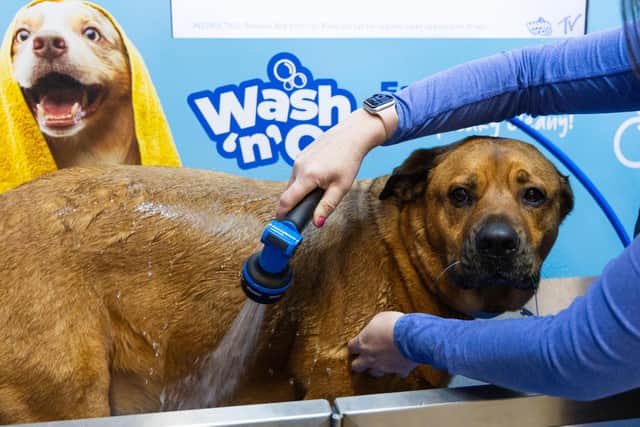Wash & Go Unit