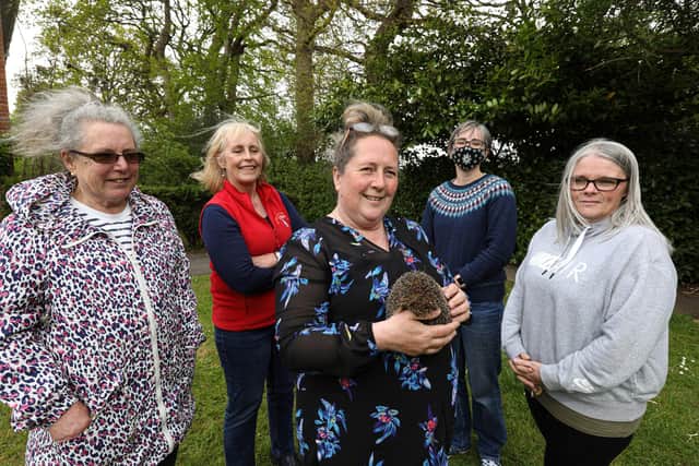 Louisa O'Connell, centre, holding Henry, with volunteers, from left, Chris Carter, Noreen Moore, Jo Young and Addie Elmes at Hodgepigs Hedgehog Rescue. Picture: Chris Moorhouse (jpns 100521-12)
