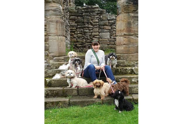 Five-year-old Shih Tzu Toby needs surgery to make him able to see again, and owners Sharon and Martin Wotherspoon are raising funds for this. Pictured: Sharon with some of her dogs