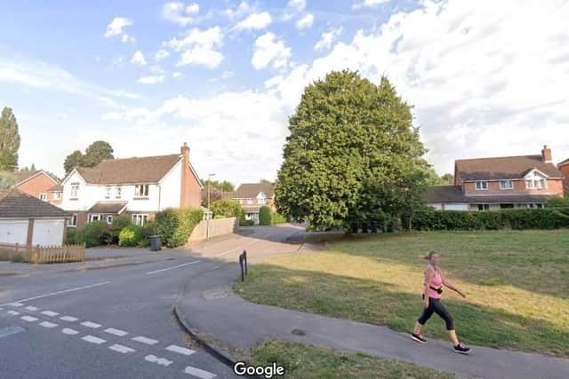 The view from Cricklemede, Bishop's Waltham, looking towards Cherry Gardens. Picture: Google