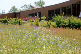 Co-op Funeralcare The Oaks Havant Crematorium 
The Oaks Havant Ccrematorium, Bartons Road, Havant, Hampshire
Set in 8.5 acres, The Oaks Havant Crematorium is surrounded by beautiful ancient semi-natural woodland and wildflower meadow.
