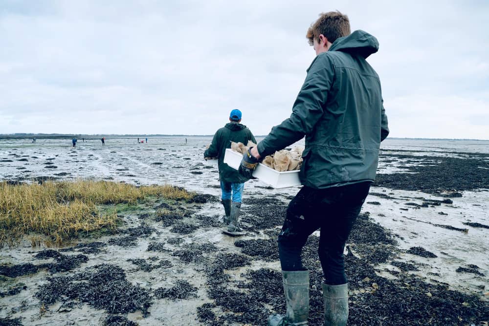 Preparing to plant the seagrass seed sacks in Langstone Harbour, Picture: Eleny Lendon