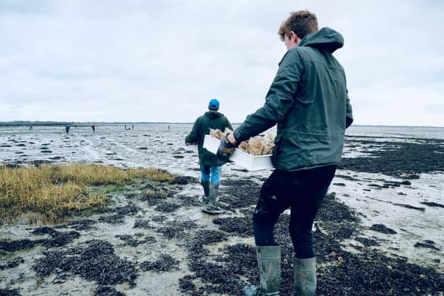 Preparing to plant the seagrass seed sacks in Langstone Harbour, Picture: Eleny Lendon
