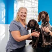 A fully recovered Epsi and Marley pose for a photo with vet Lisa Blackford (left) and veterinary nurse Courtney Line. The two dogs were rushed to the vets following a suspected mushroom poisoning.