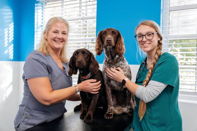A fully recovered Epsi and Marley pose for a photo with vet Lisa Blackford (left) and veterinary nurse Courtney Line. The two dogs were rushed to the vets following a suspected mushroom poisoning.